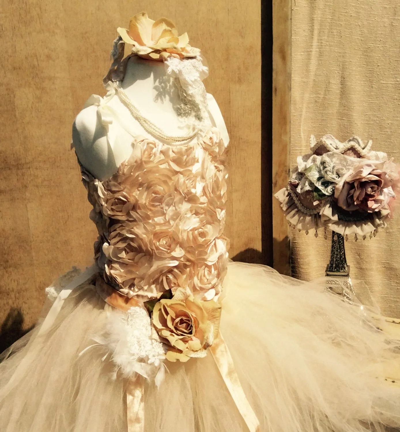 Corset Top & Tulles Skirt - Twinkle