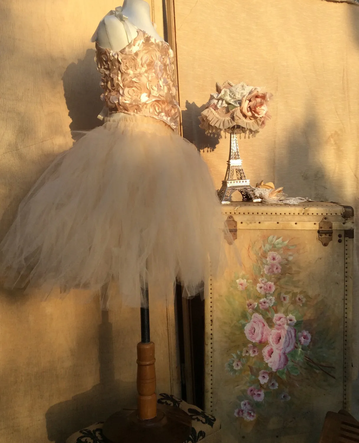 Corset Top & Tulles Skirt - Twinkle