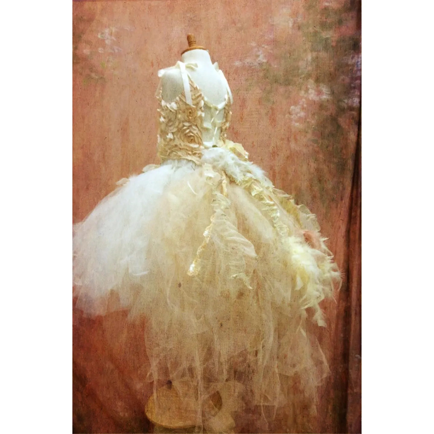 Corset Top & Tulles Skirt - Twinkle